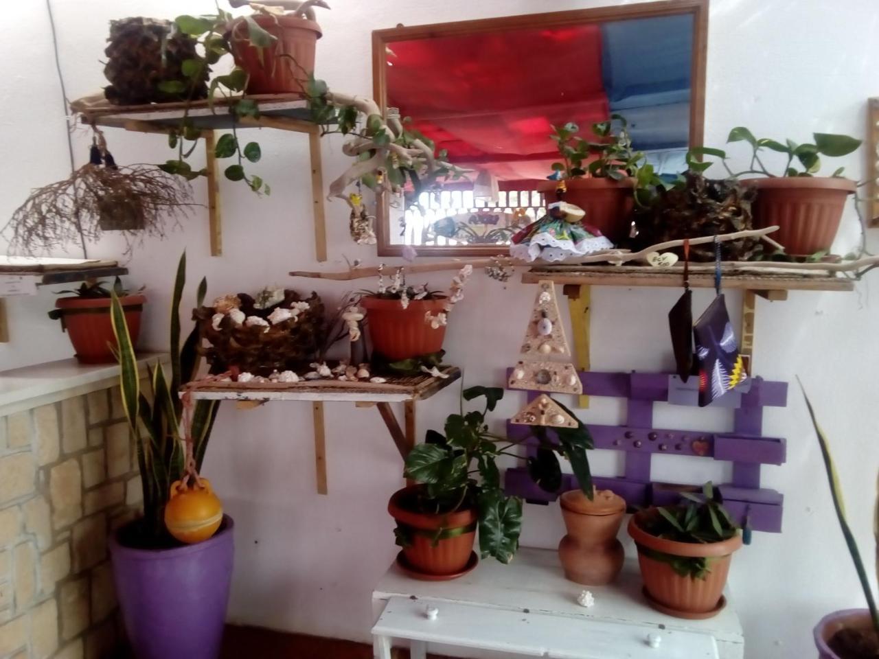 Residence A Paz Sal Rei Bagian luar foto